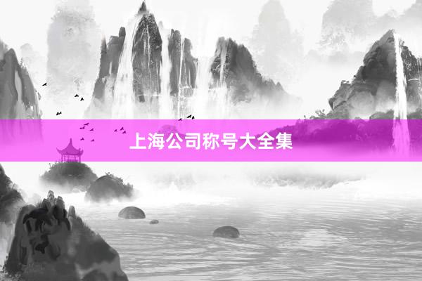 上海公司称号大全集