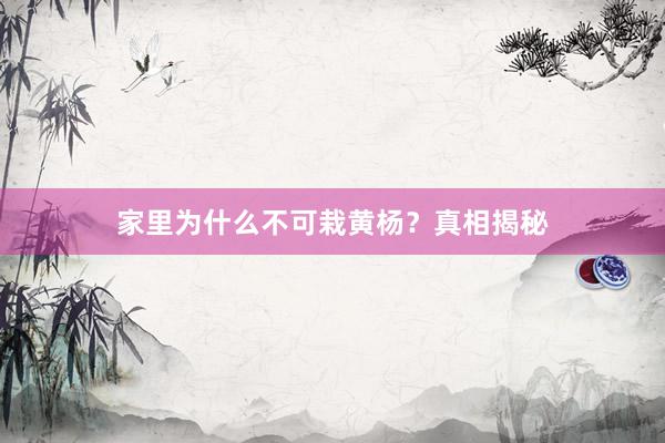 家里为什么不可栽黄杨？真相揭秘